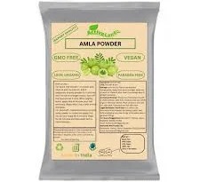 Active Land Amla Powder 50G
