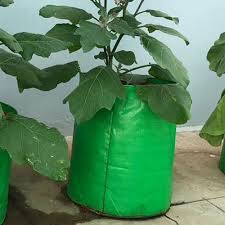 11 Pcs Green Colour Green Hdpe Plant Bag