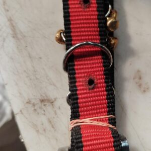 Black And Red Fits Dog Neck Size Medium For Adjustable Dog Belt For All Breads Dog