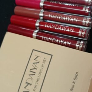 Handaiyan Waterproof Matte Liquid Lipstick 2Point5M X 6Pcs
