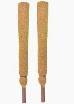 Coco Pole Coir Moss Stick For Indoor Outdoor House Plant Support 2 Feet Pack Of 2