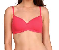 Pink Colour Bra For Women Size 32