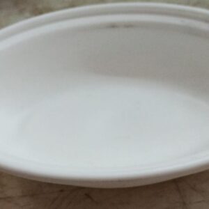 Noodle Plates White Color 100 Ml Pack Of 10 Plastic
