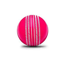 Plastic Soft Pick Cricket Ball 1 Pcs