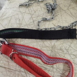 Nylon Dog Belt Combo Of Red Dog Collar With Black Leash