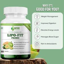 Satvik Organic Lipo Fit Promo 30 Capsules