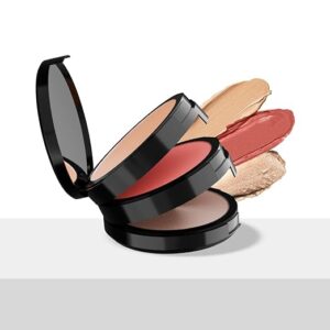 Staze 9To9 Triple Treat Stacked Face Palette 01 Main Character 3 In 1