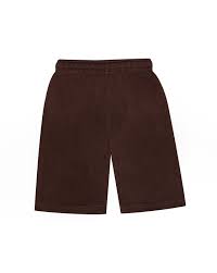 Brown Color Shorts With Elasticated Waist For Men Size L