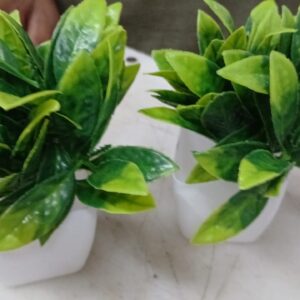 Artificial Flower Pot Pack Of 2