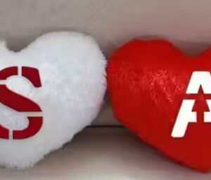 Latest Kids Stuffed Toys 2 Pair