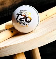 Imported Water Proof Premium White Leather Cricket Ball 20 Over