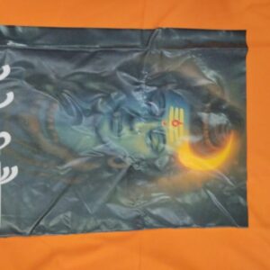 Men Mahadev T Shirt Color Orange Size M