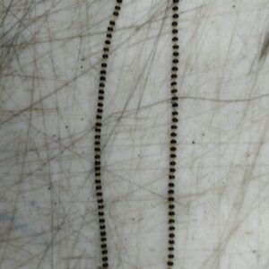 Elegant Beautiful Mangalsutra For Women