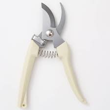 Plant Cutter Multicolor