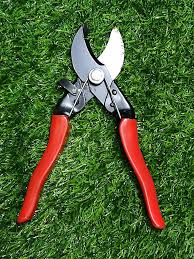 Stainless Steel Flower Cutter