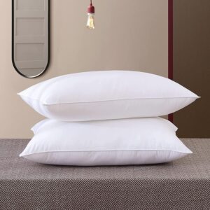 White Pillow Pack Of 2