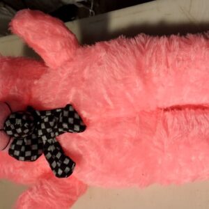 Pink Colour Teddy Bear 1 Feet