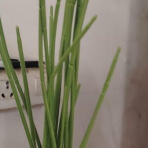 Green Artificial Trees Pot