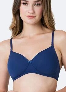 Women Bra Blue Colour Size 34