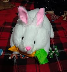 White Color Rabbit For Kids