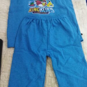 Sky Blue Color Kids Boys Clothing Set Size 3 Y
