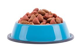 Kennel Assorted Anti Skid Printed Steel Feeding Bowl For Dog