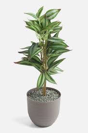 Cement Finish Potted Plants Garena