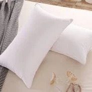 Jdx Hotel Quality Premium Pillow Set Of 2 White Colour