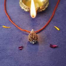 Japan Silver Brown 6 Mukhi Rudraksha