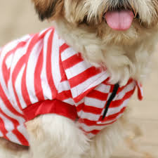 Red And White Color Strips Dog Polo Shirt Size 28