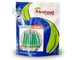 Akshay Vikram Bhindi Okra Seeds 100Gm