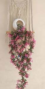 Pink Color Hanging Flower Pot