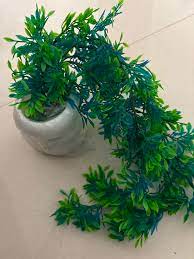 White And Green Color Hanging Flower Pot