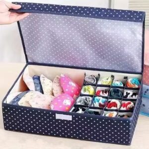 Blue Printed Colour Bra And Penty Storage Organiser