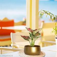 Metal Flower Pot In Gold Finish 1 Piece