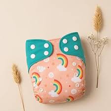 Blushbaby Premium Reusable Cloth Diapers For Babies Peach Colour