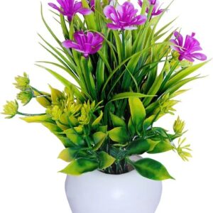 Nerapi Set Of 2 Beautiful Bonsai Flower Plant Perfect Home Shop Price