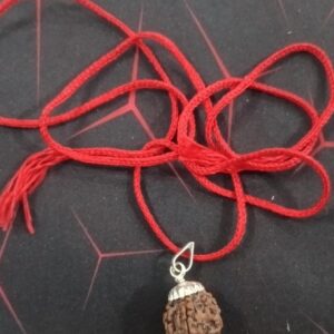 Silver Color 10 Mukhi Rudraksha