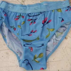 Women Hipster Briefs Sky Blue Printed Size 30 To 75
