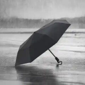 Open Umbrella Portable Black Colour