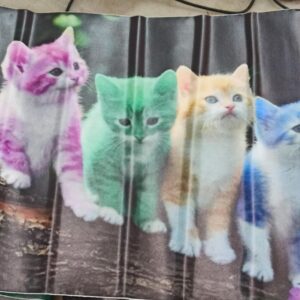 Cat Wall Stickers For Bedroom Kids Room