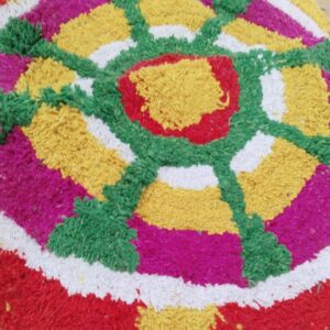 Multicolor Round Door Mat