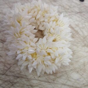 White Mogra Rubber Band Flower Gajra For Women