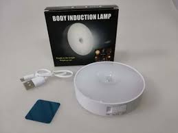 Body Induction Lamp