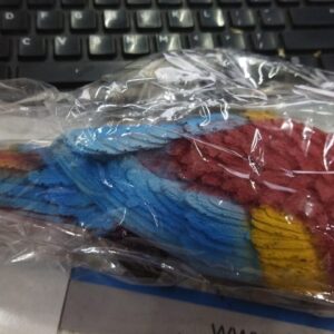 Multicolor Wooden Toy Parrot