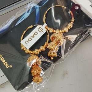 Women Goldplated Hoop Earrings