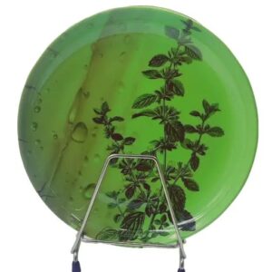 Unbreakable Green Printed Pudina Patta Dinner Lunch Party Plate Pack Of 6