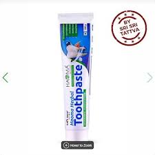Haoma Premium Toothpaste 100 G Herbal Toothpaste