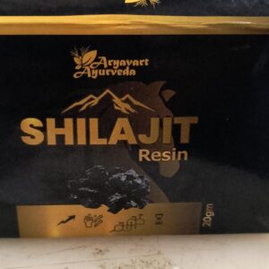 Aryavart Ayurveda Shilajit Resin 20G