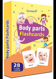 Gurukanth Body Parts Flashcards